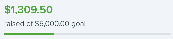 Fund_Progress.png