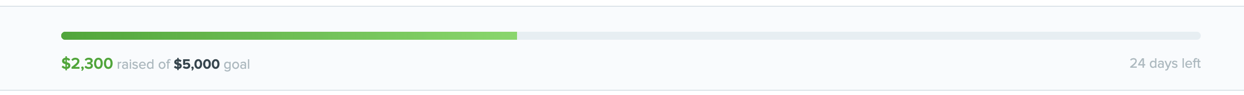 fundraiser.png